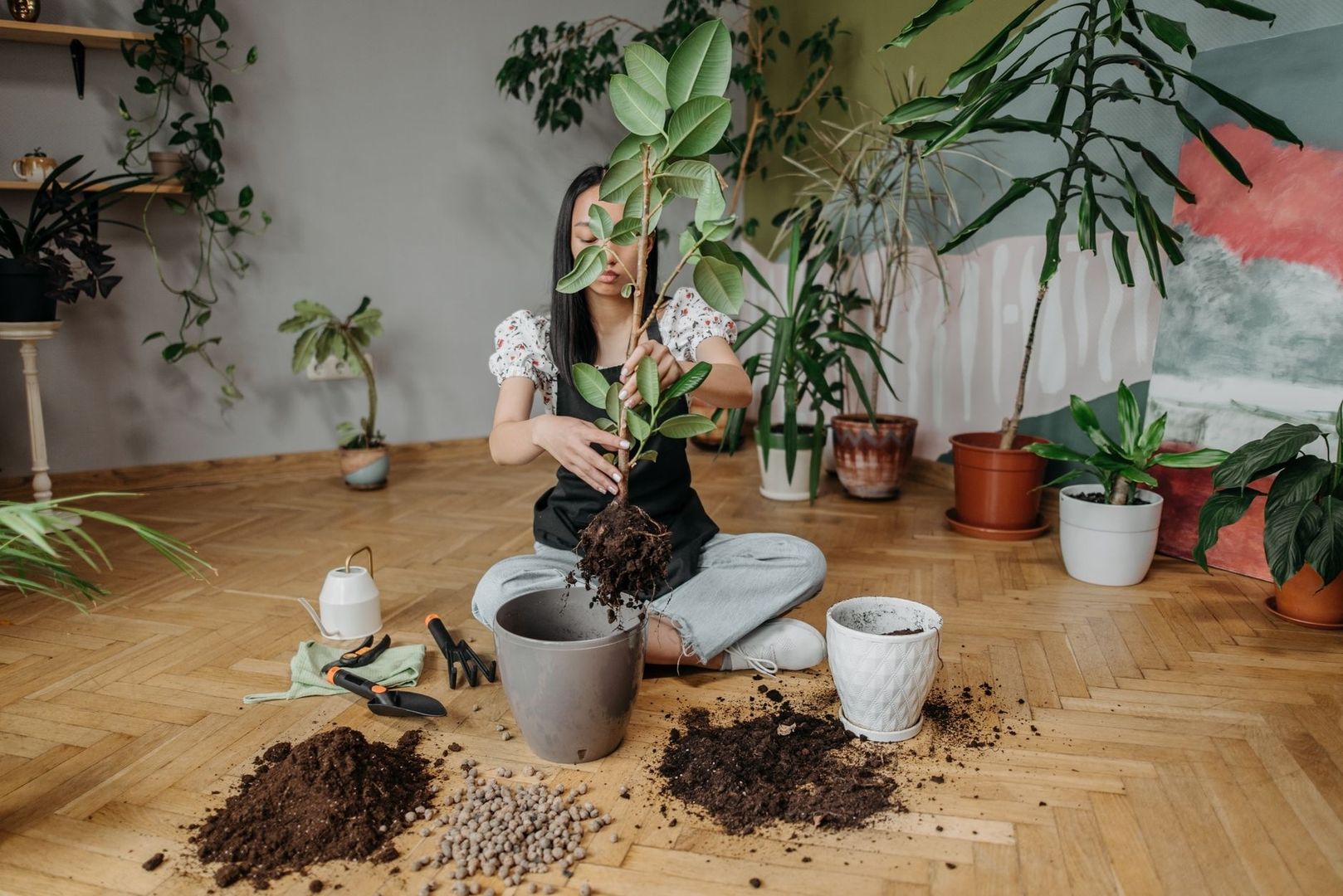 Vrouw verpot een plant met potgrond en korrels voor een luchtig substraat